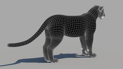 Amur Leopard 3D Model: Wireframe Side View - Subdivision Level 1