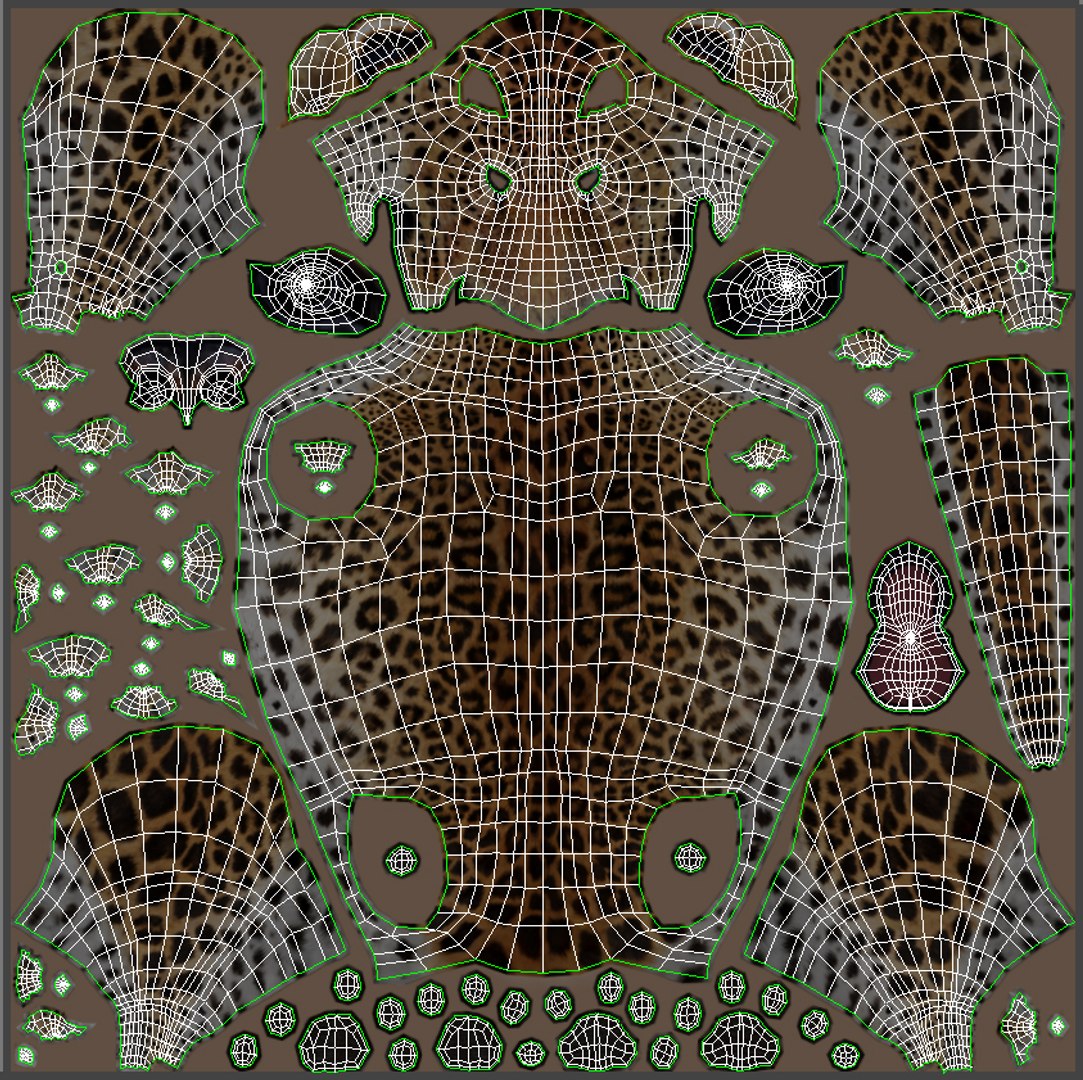 Amur Leopard 3D Model Body UVs