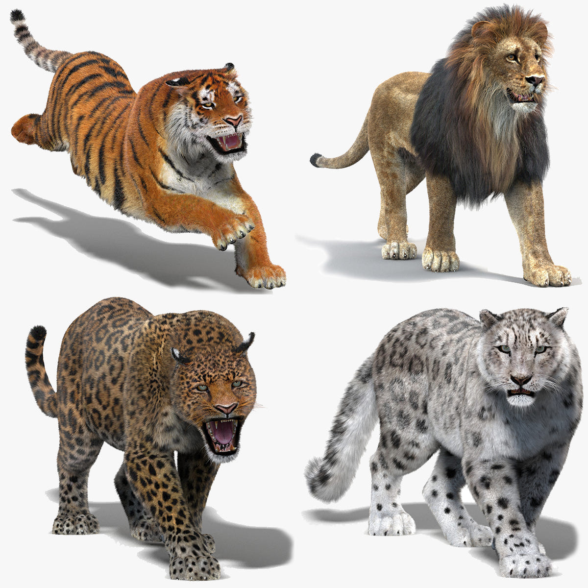 Animated Big Cats 3D Model with Fur