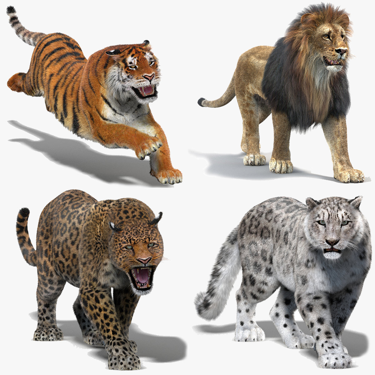 Animated Big Cats 3D Model with Fur