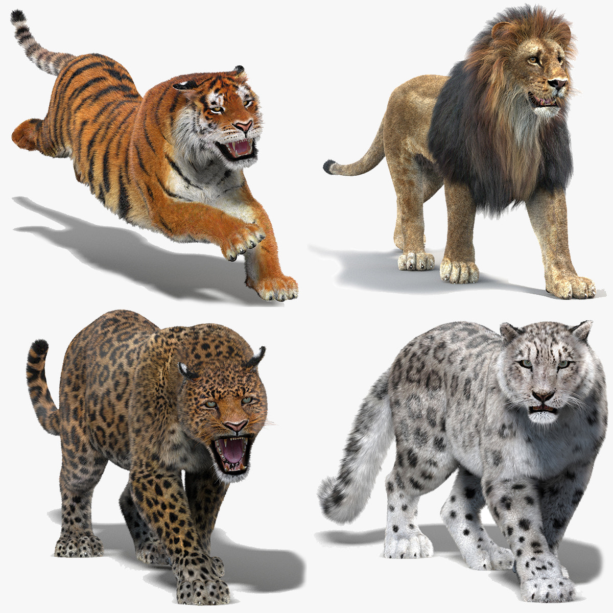 Animated Big Cats 3D Model with Fur