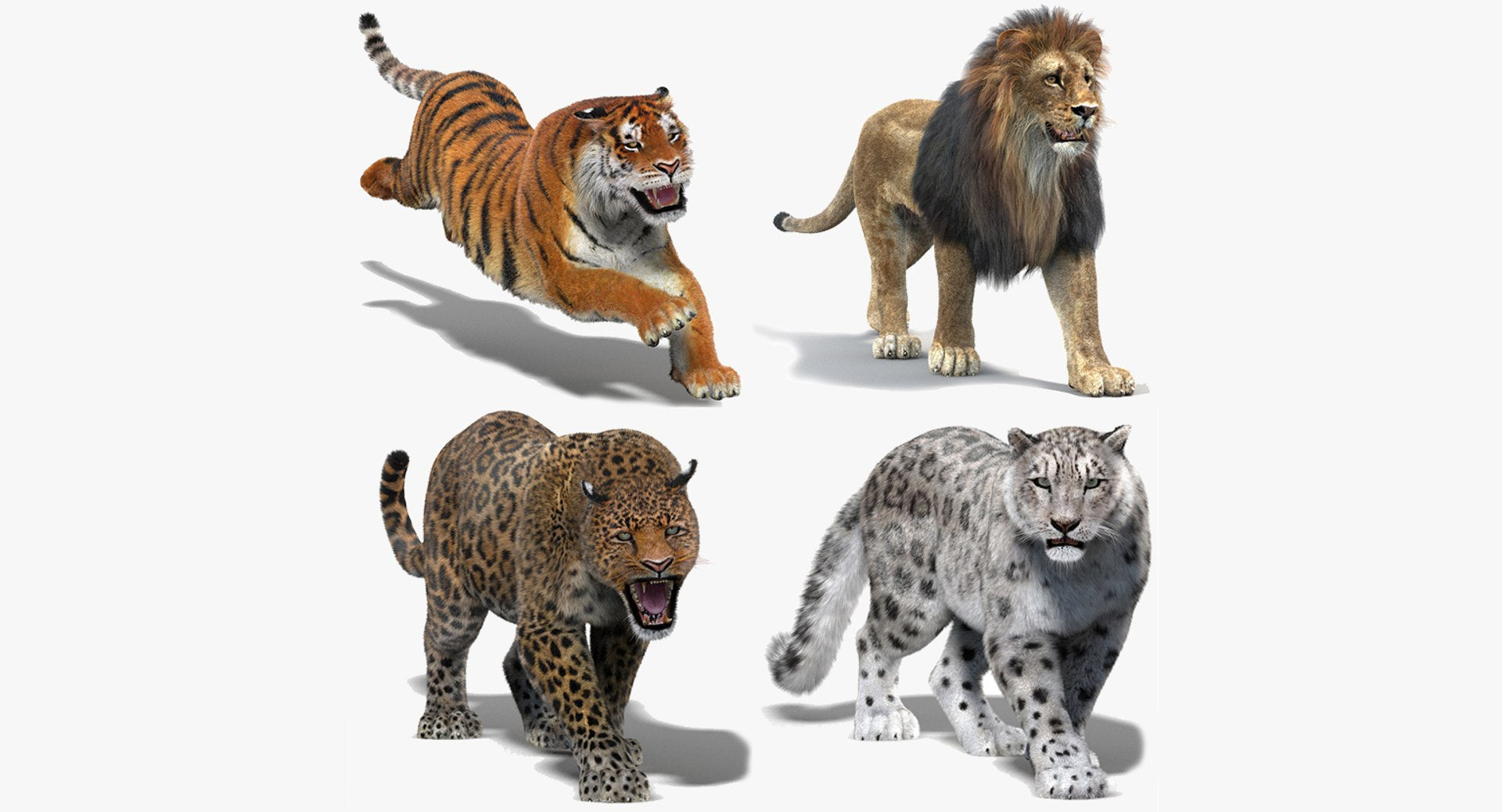 Animated Big Cats 3D Model with Fur for VFX