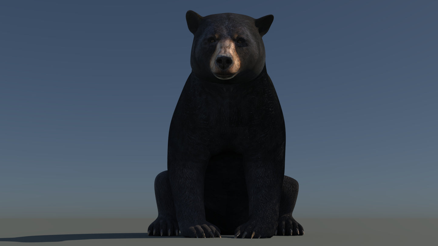 Animated black bear 3D model in natural environment — realistic rigged animal for game projects, AR, VR, VFX, and 3ds Max rendering