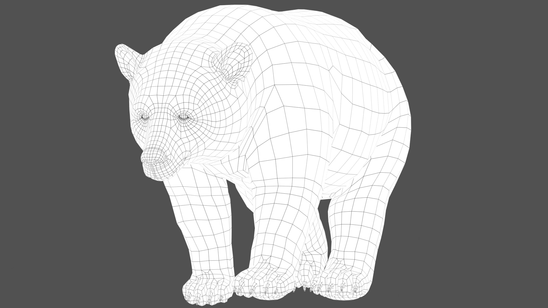 Animated Black Bear 3D Model wireframe view shown at subdivision level 0 with clean quad topology