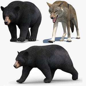Rigged and Animated Black Bear and Red Wolf Forest Predators 3D Bundle Thumbnail