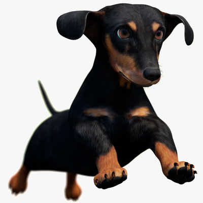 Black Dachshund Dog Animated 3D Model