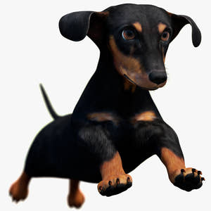 Animated Dachshund Dog 3D Model – Game-Ready (Black) Thumbnail