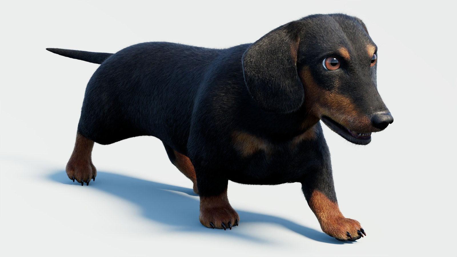 Black dachshund dog 3D model with Fur & PBR textures