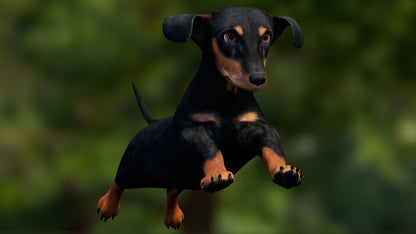 Animated Dachshund Dog 3D Model – Game-Ready (Black)