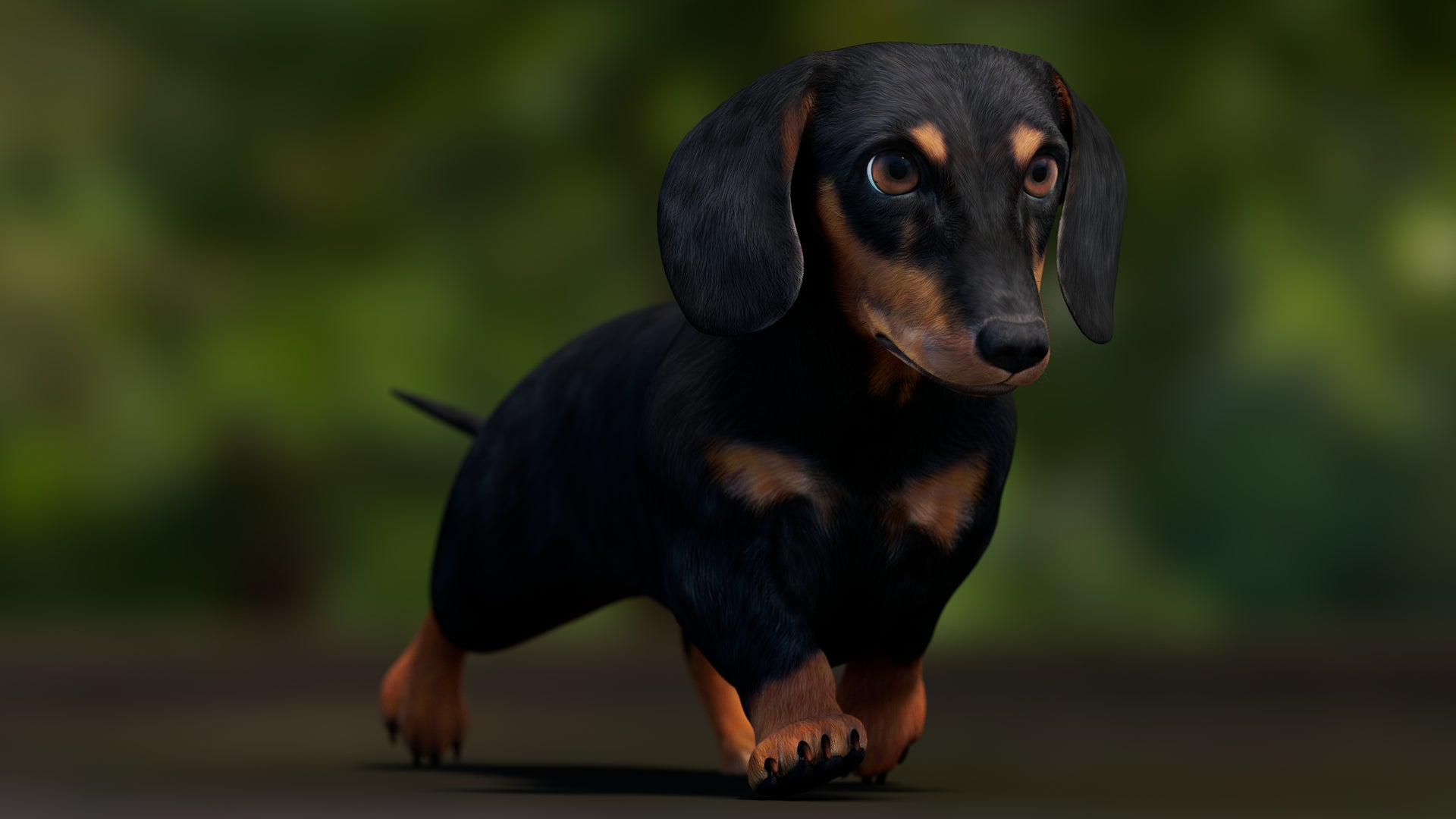 Black Dachshund Dog 3D Model – Game-Ready 