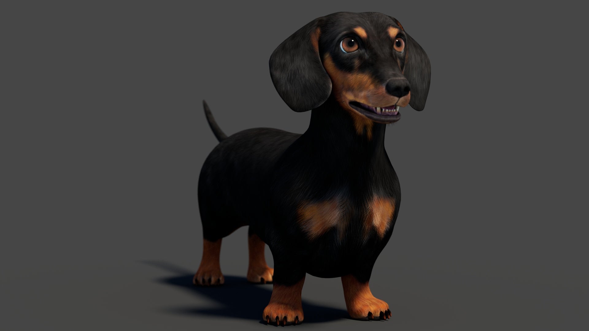 Black Dachshund Dog 3D Model – rigged and Animated