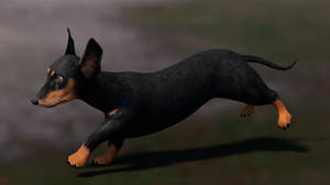 Black Dachshund Dog 3D Model – rigged and Animated Thumbnail