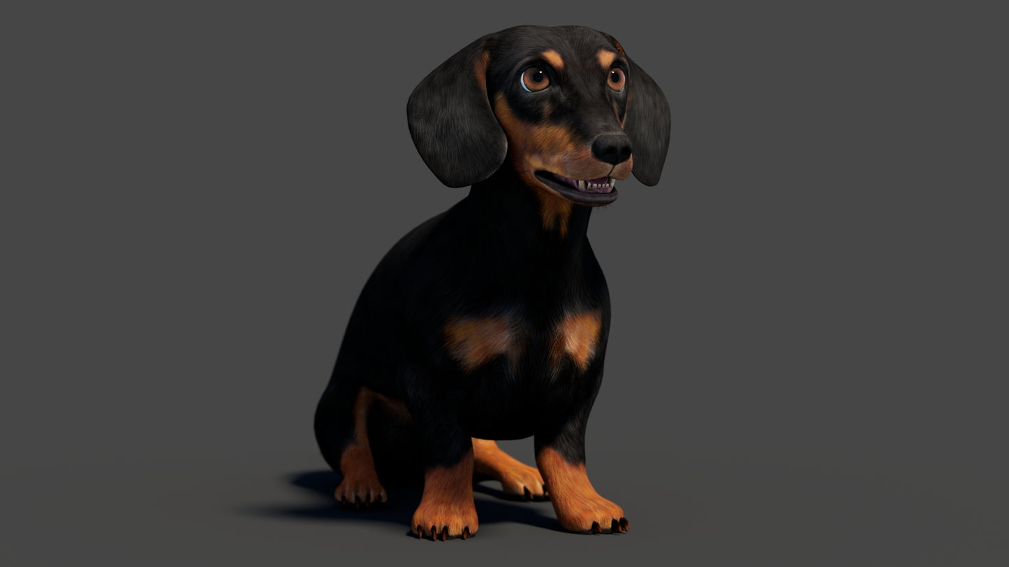 Black Dachshund Dog 3D Model – rigged and Animated