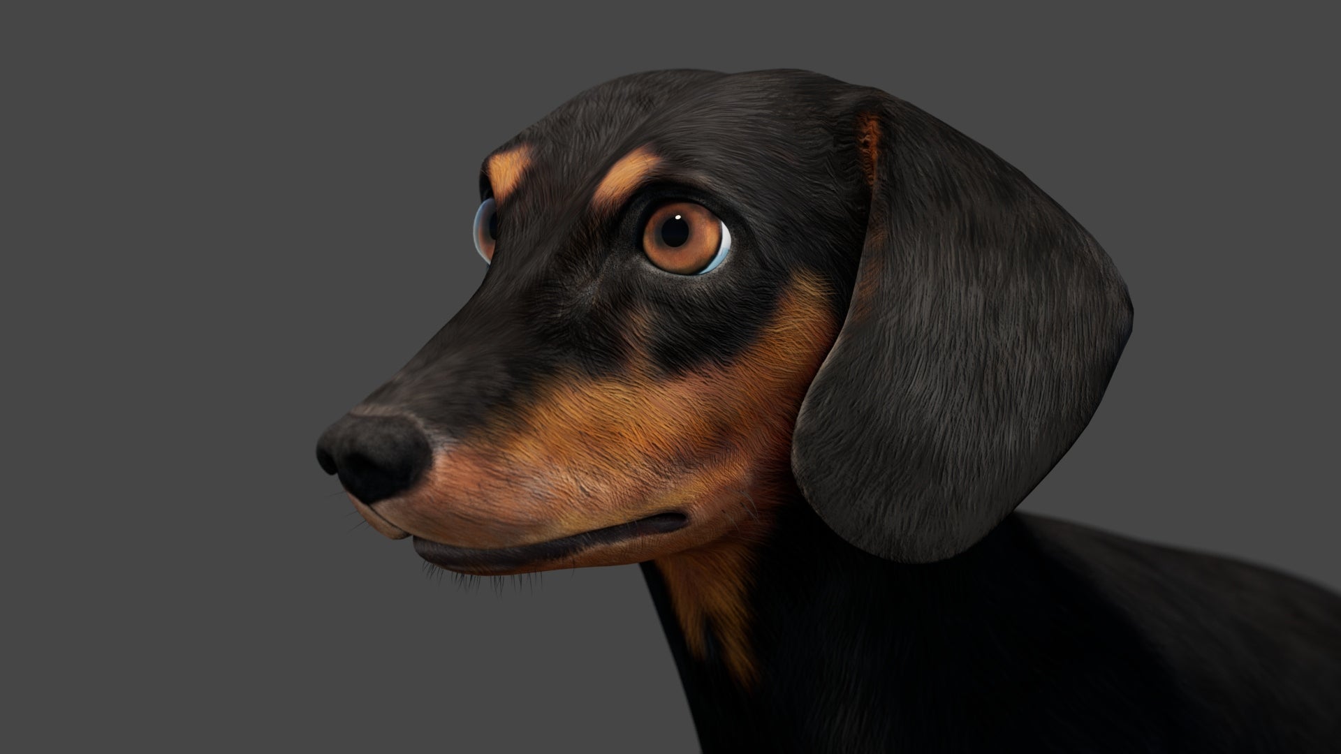 Black Dachshund Dog 3D Model – Rigged and Animated