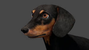 Black Dachshund Dog 3D Model – Rigged and Animated Thumbnail