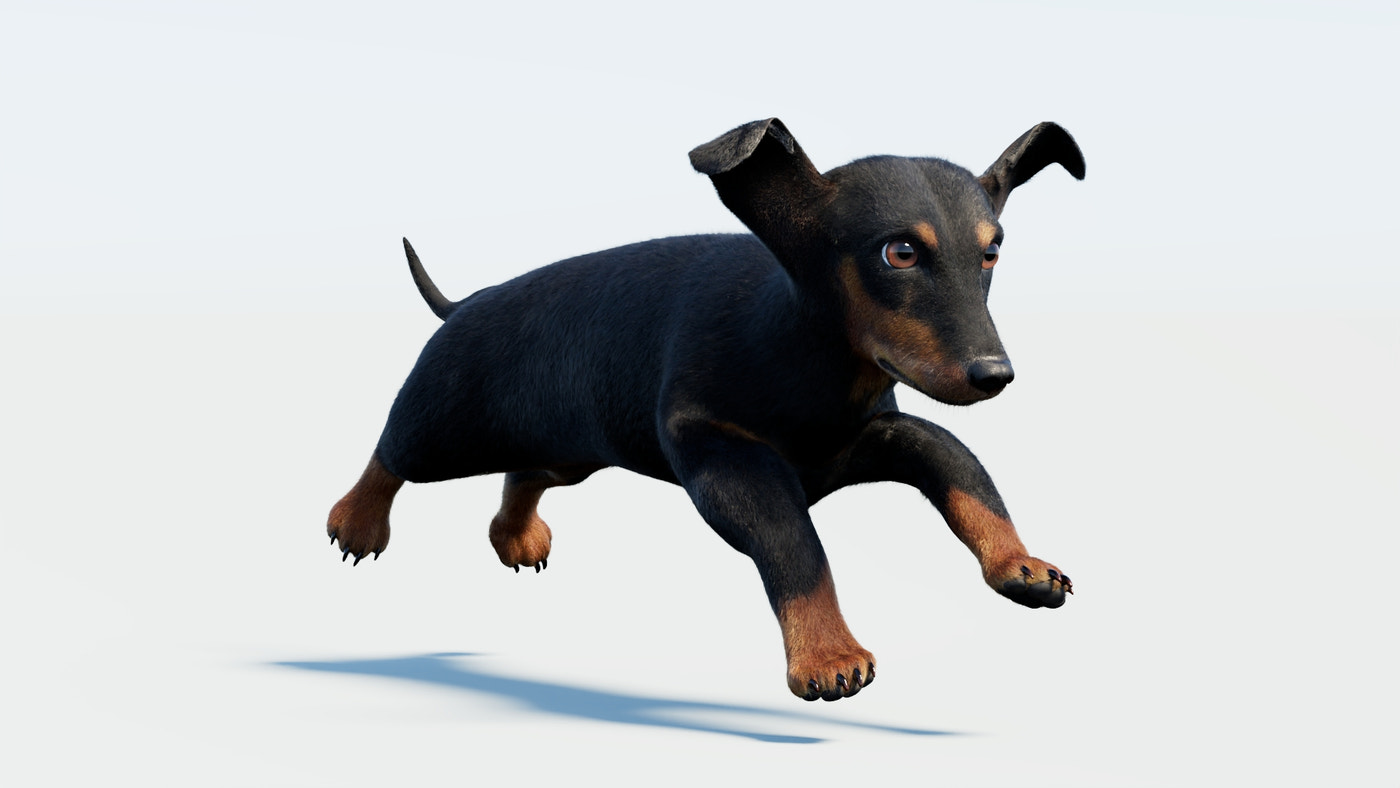 Animated Black Dachshund Dog 3D Model with Fur - 360 Degree View