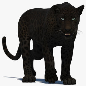 Animated Black Panther 3D Model Thumbnail