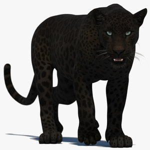Animated Black Panther 3D Model Thumbnail