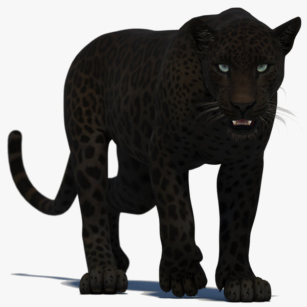 Animated Black Panther 3D Model