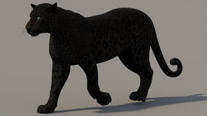Black Panther 3D Model Animated Thumbnail