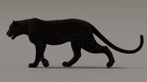 Black Panther 3D Model with Animations Thumbnail