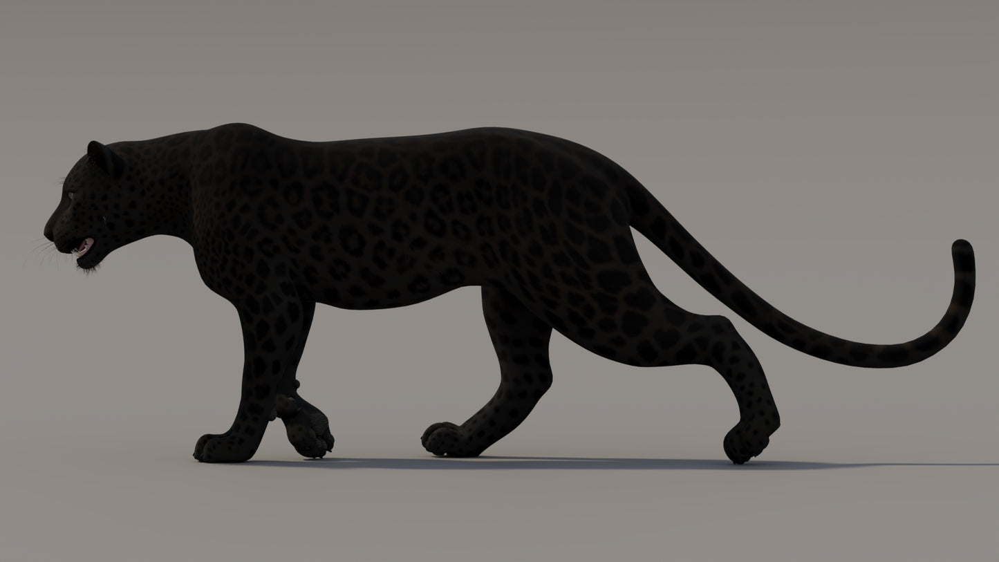 Animated Black Panther 3D Model