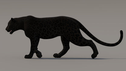 Animated Black Panther 3D Model