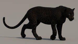 Realistic Black Panther 3D Model for Download Thumbnail