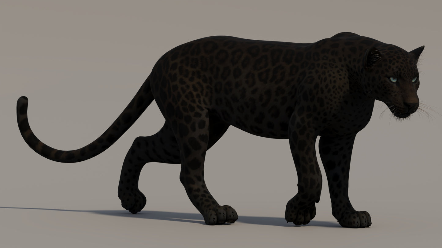Animated Black Panther 3D Model