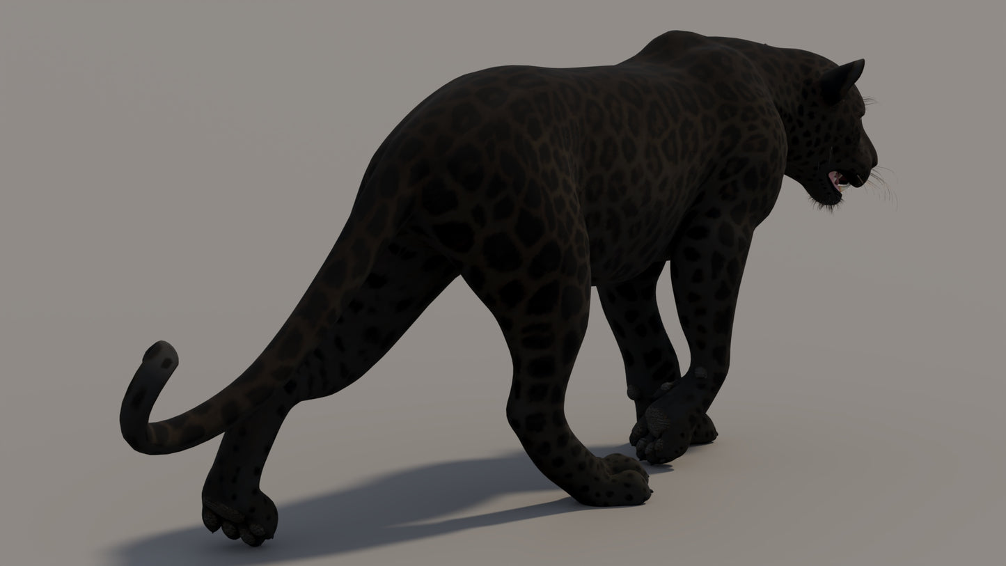 Animated Black Panther 3D Model