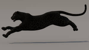 Running Black Panther 3D Model for Download Thumbnail