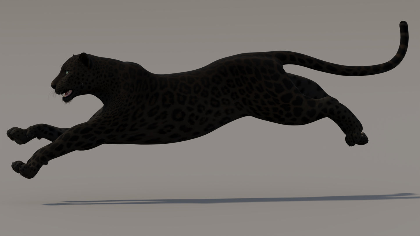 Animated Black Panther 3D Model