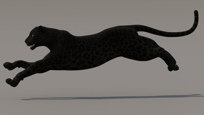 Animated Black Panther 3D Model