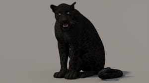 Animated Panther 3D Model for Download Thumbnail