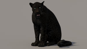 Animated Panther 3D Model for Download Thumbnail