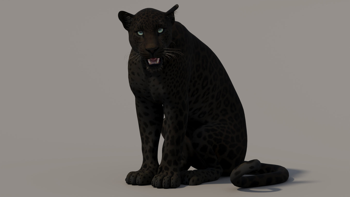 Animated Black Panther 3D Model