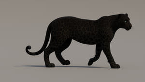 Realistic Walk Animation of Black Panther 3D Model Thumbnail
