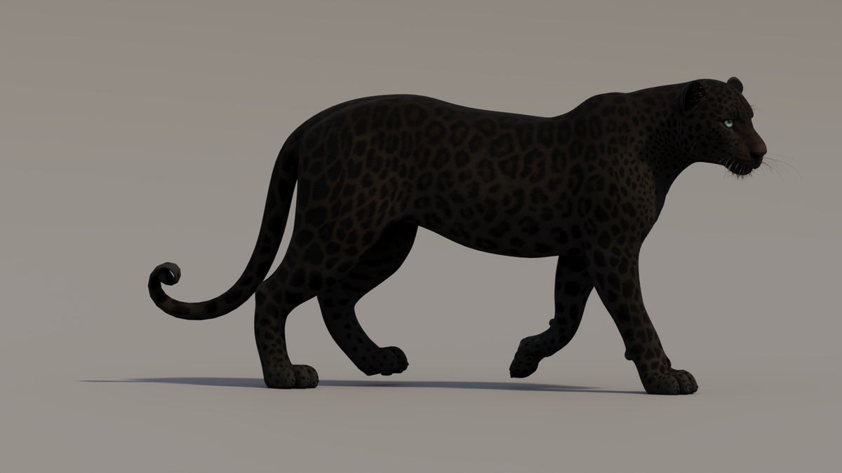 Realistic Walk Animation of Black Panther 3D Model
