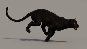 Running Black Panther 3D Model for your Project Thumbnail
