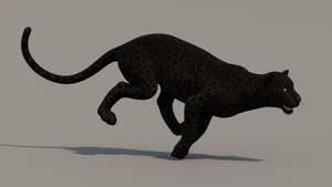 Running Black Panther 3D Model for your Project Thumbnail