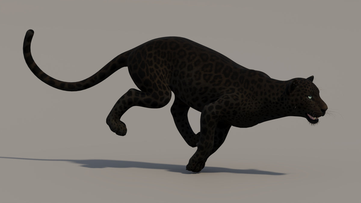 Running Black Panther 3D Model for your Project