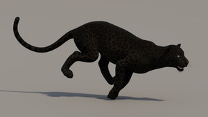Running Black Panther 3D Model for your Project Thumbnail