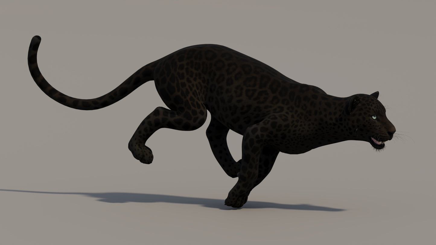 Animated Black Panther 3D Model