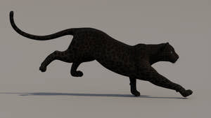 Running Panther Animal 3D model Thumbnail