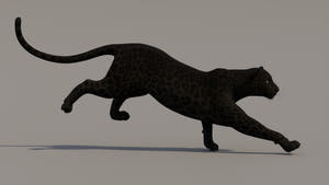 Running Panther Animal 3D model Thumbnail