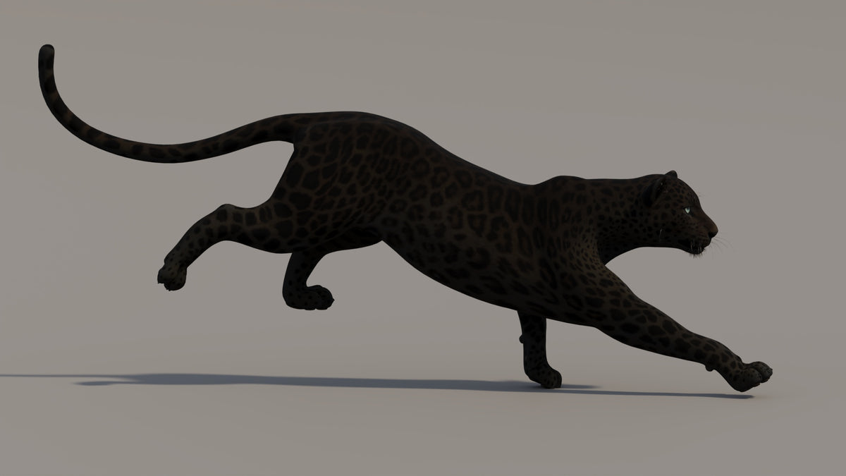 Running Panther Animal 3D model