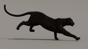 Running Panther Animal 3D model Thumbnail