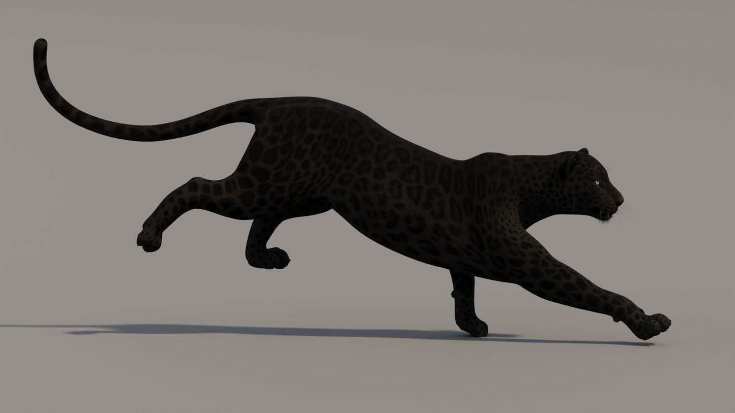 Animated Black Panther 3D Model