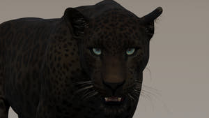 Realistic Black Panther Animal 3D Model Close Up Rendering Thumbnail