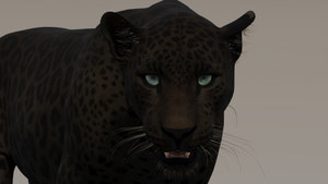Realistic Black Panther Animal 3D Model Close Up Rendering Thumbnail